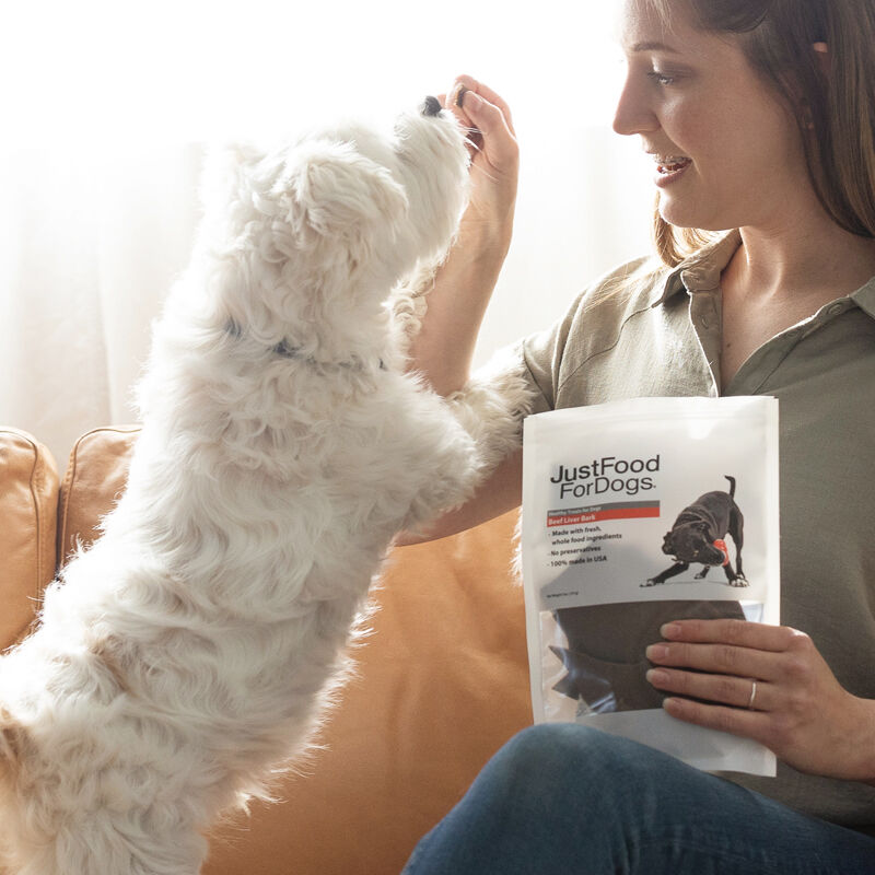 Beef Liver Bark Treats for Dogs JustFoodForDogs